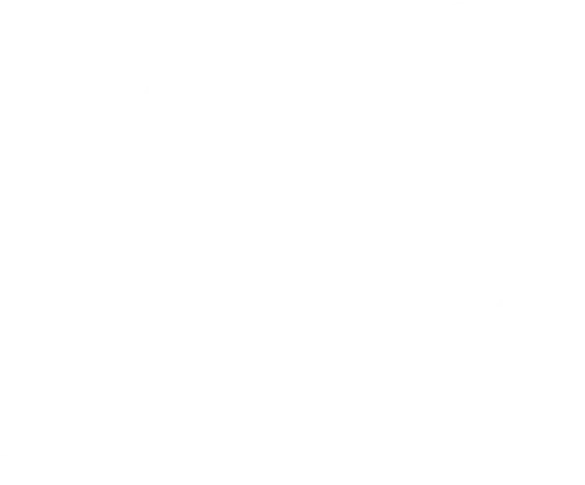 Nocco logo